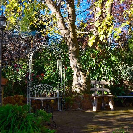 Possum Creek Lodge Gooseberry Hill Buitenkant foto