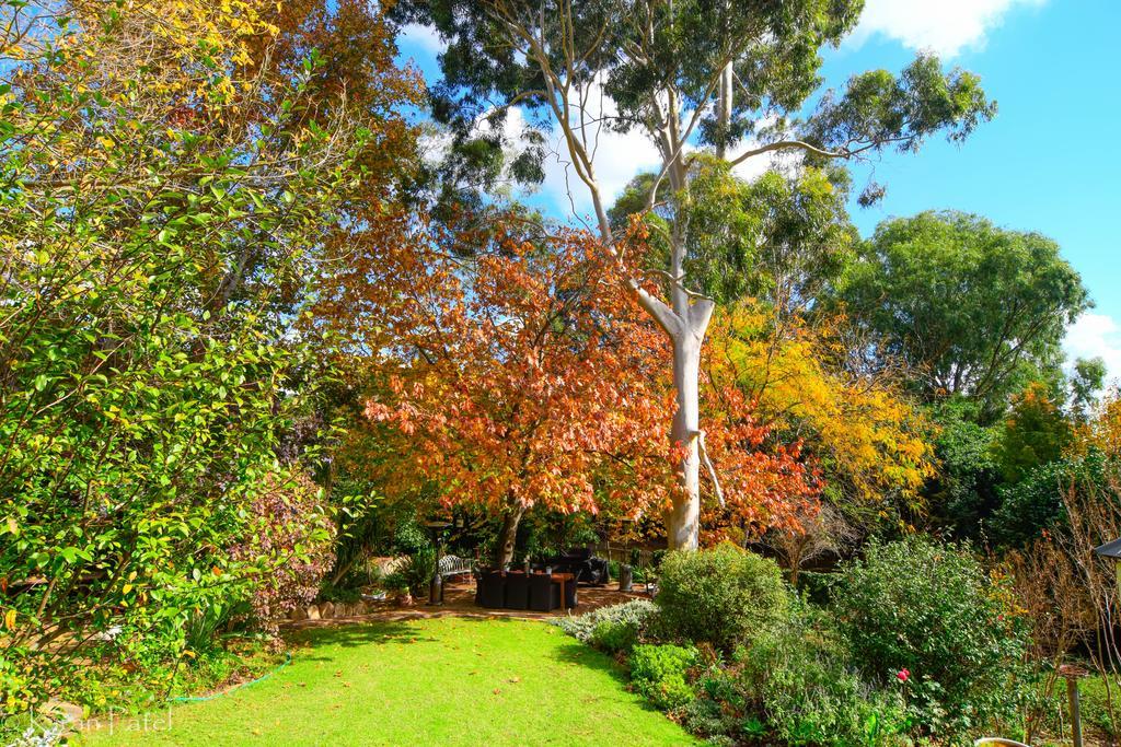 Possum Creek Lodge Gooseberry Hill Buitenkant foto