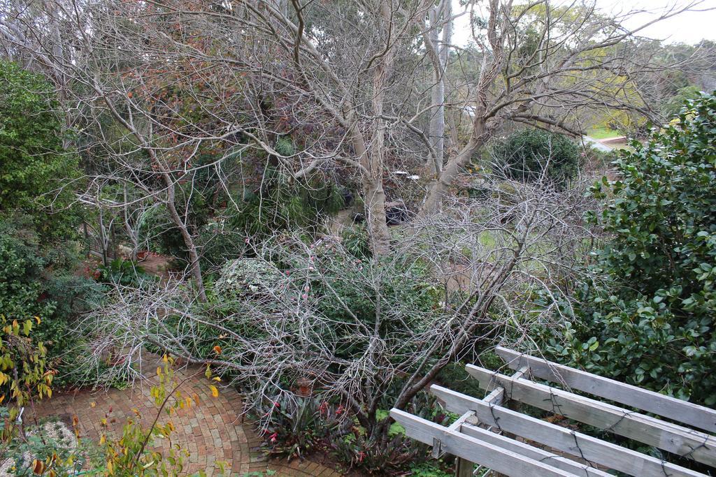 Possum Creek Lodge Gooseberry Hill Kamer foto