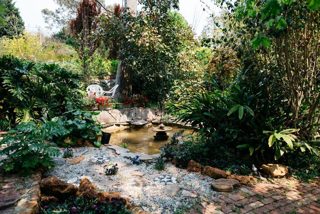 Possum Creek Lodge Gooseberry Hill Buitenkant foto