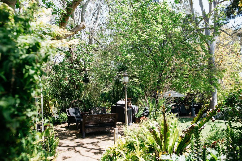 Possum Creek Lodge Gooseberry Hill Buitenkant foto